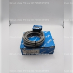 Photoelectric Sensor WT100-P1412 Sick